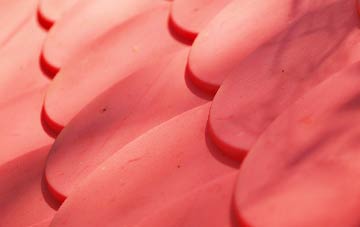 Edlington plastic roof costs