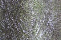 Edlington fibreglass roof work